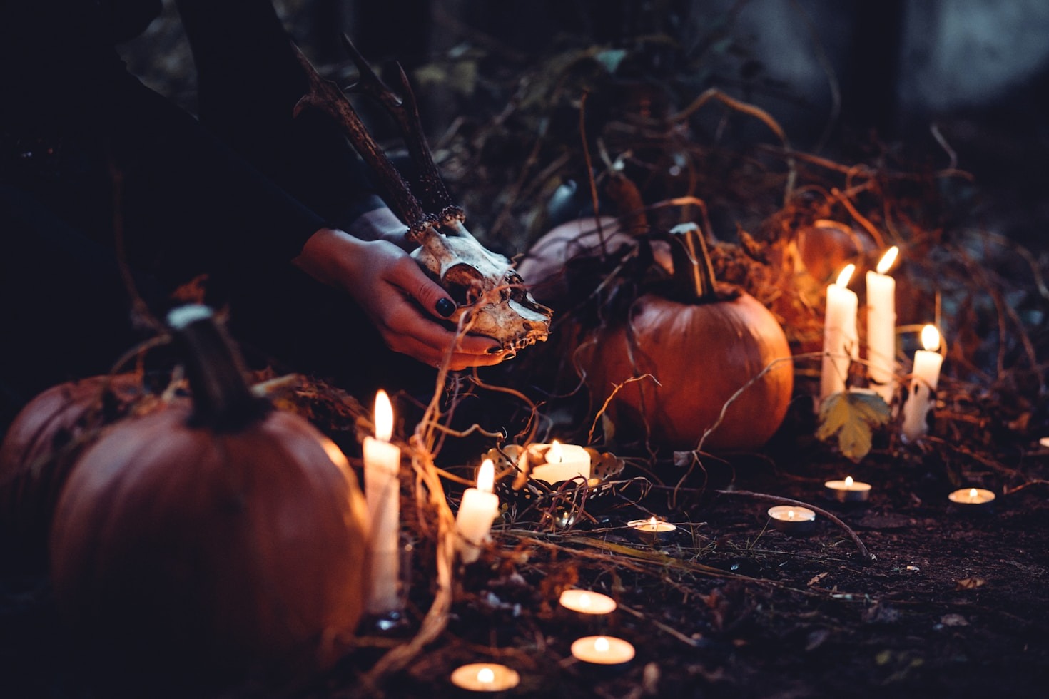 Exploring the Connection Between Nature and Magic